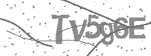 visual captcha